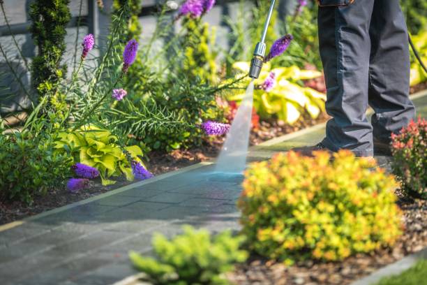 Trusted North Alamo, TX  Pressure Washing Services Experts