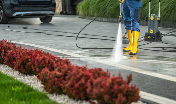 Best Sign and Awning Cleaning  in North Alamo, TX